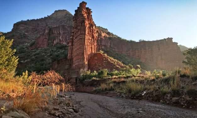 Road Trip: Caprock Canyons State Park